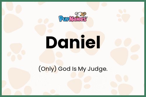 Daniel dog name meaning