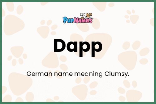 Dapp dog name meaning