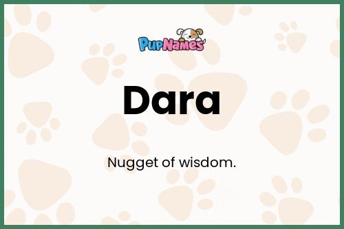 Dara dog name meaning