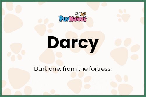 Darcy dog name meaning