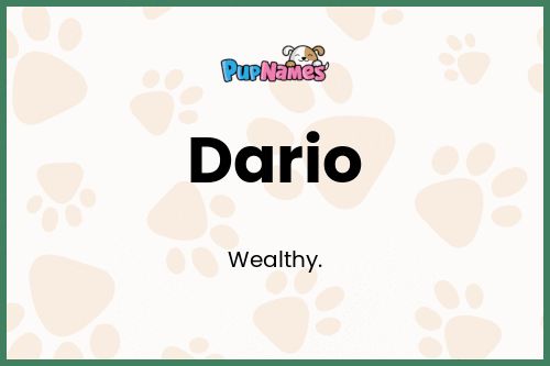 Dario dog name meaning