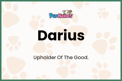 Darius dog name meaning