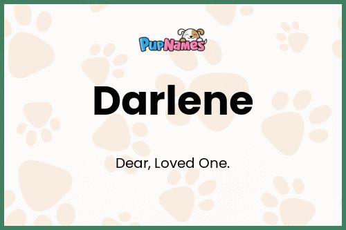 Darlene dog name meaning