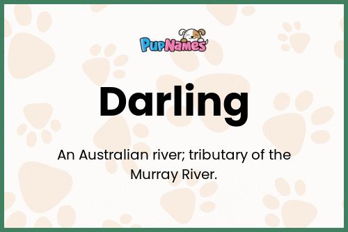 Darling dog name meaning