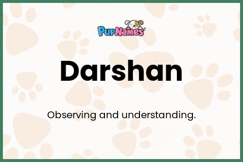 Darshan dog name meaning