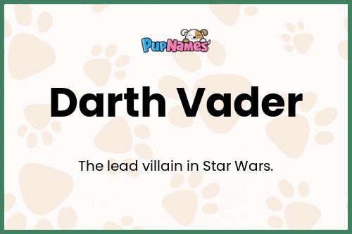 Darth Vader dog name meaning