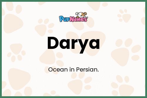 Darya dog name meaning