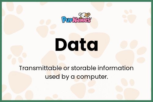 Data dog name meaning