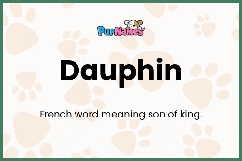 Dauphin dog name meaning