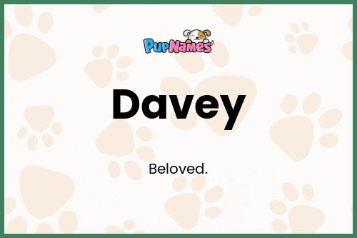 Davey dog name meaning