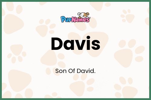 Davis dog name meaning