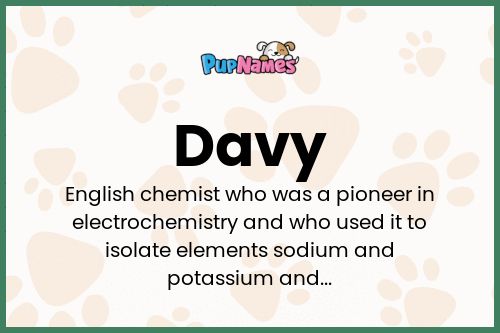 Davy dog name meaning