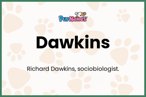 Dawkins dog name meaning