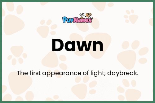 Dawn dog name meaning