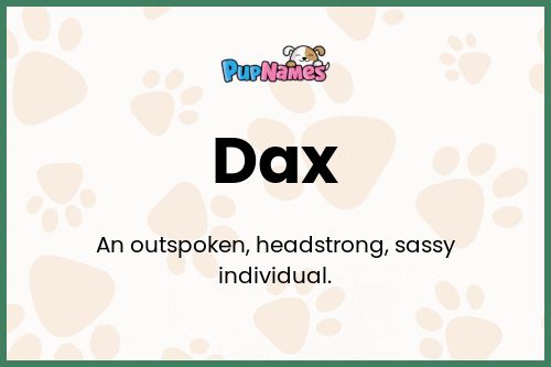 Dax dog name meaning