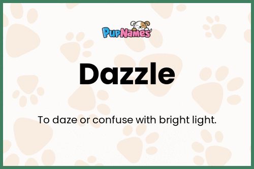 Dazzle dog name meaning