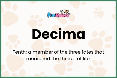 Decima dog name meaning