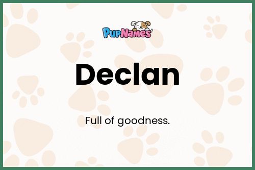 Declan dog name meaning