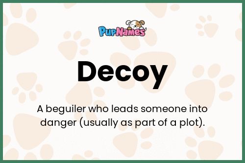 Decoy dog name meaning