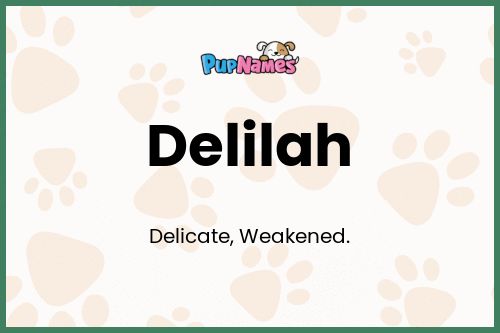 Delilah dog name meaning