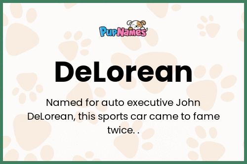 DeLorean dog name meaning