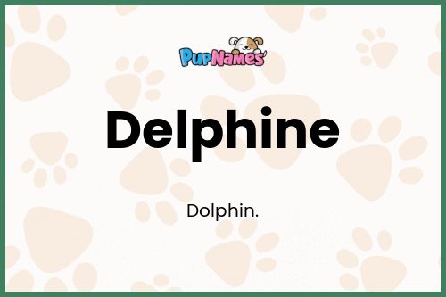 Delphine dog name meaning