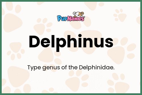 Delphinus dog name meaning