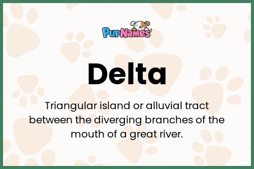 Delta dog name meaning