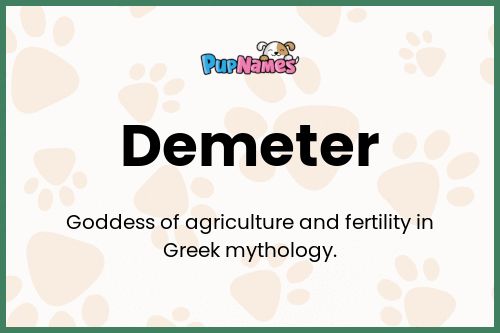 Demeter dog name meaning