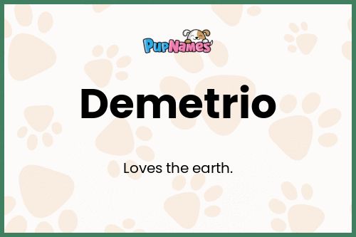 Demetrio dog name meaning