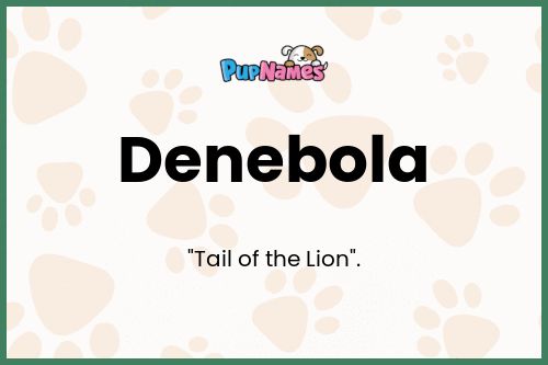 Denebola dog name meaning