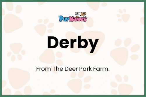 Derby dog name meaning