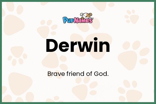 Derwin dog name meaning