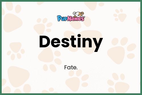 Destiny dog name meaning