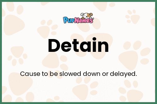 Detain dog name meaning