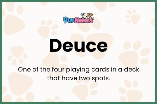 Deuce dog name meaning