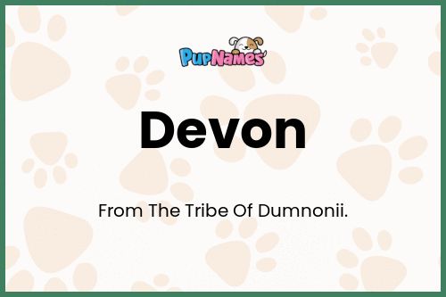 Devon dog name meaning