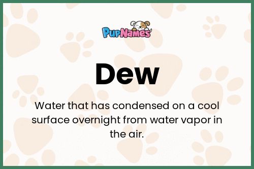 Dew dog name meaning