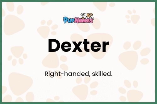 Dexter dog name meaning