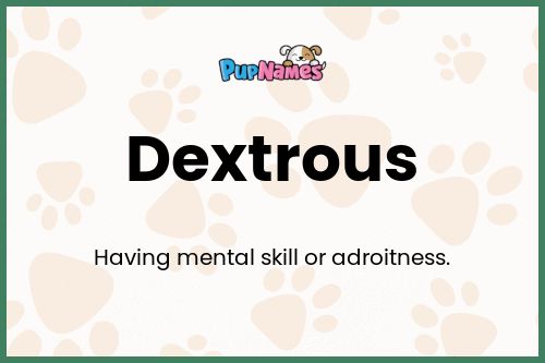 Dextrous dog name meaning