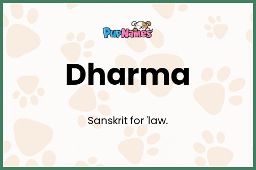 Dharma dog name meaning