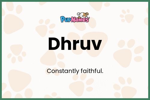 Dhruv dog name meaning