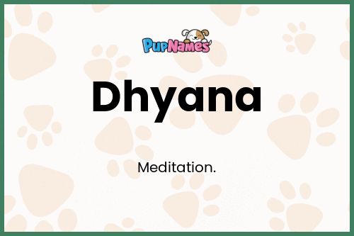 Dhyana dog name meaning