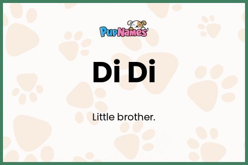 Di Di dog name meaning