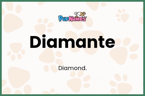 Diamante dog name meaning