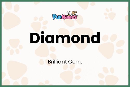 Diamond dog name meaning