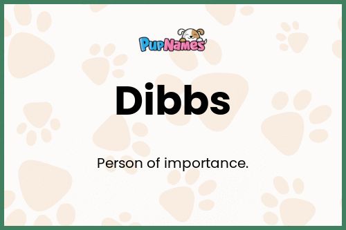 Dibbs dog name meaning