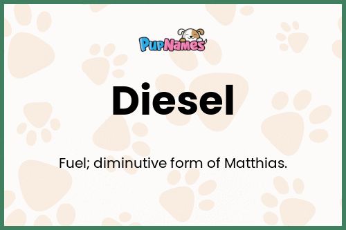 Diesel dog name meaning