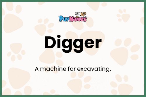 Digger dog name meaning