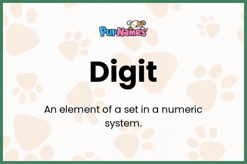 Digit dog name meaning